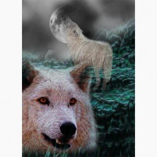  GREETING CARD Wolf Eclipse